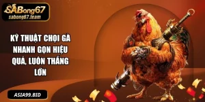 Kỹ Thuật Chọi Gà Nhanh Gọn