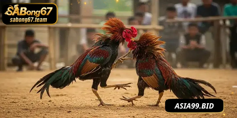 Lưu ý quan trọng khi luyện cách đánh không bị đỡ